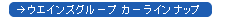 �g���^�E�G�C���Y�O���[�v�J�[���C���i�b�v