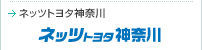 �l�b�c�g���^�_�ސ�